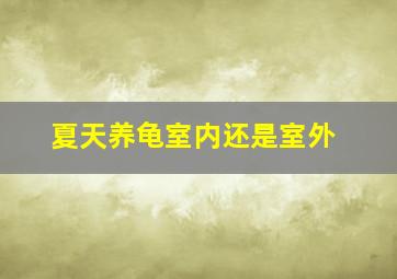 夏天养龟室内还是室外