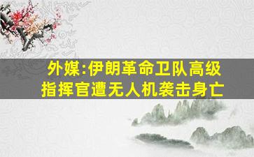 外媒:伊朗革命卫队高级指挥官遭无人机袭击身亡