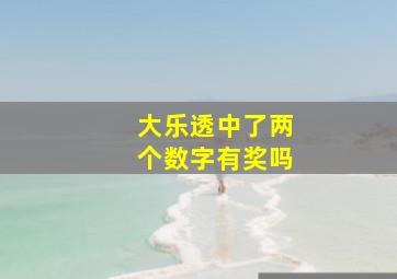 大乐透中了两个数字有奖吗