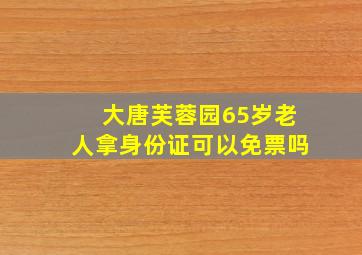 大唐芙蓉园65岁老人拿身份证可以免票吗