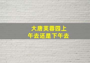 大唐芙蓉园上午去还是下午去