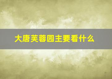 大唐芙蓉园主要看什么