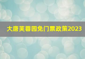 大唐芙蓉园免门票政策2023