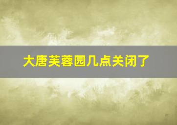 大唐芙蓉园几点关闭了