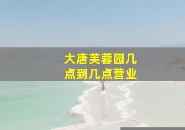 大唐芙蓉园几点到几点营业