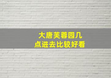 大唐芙蓉园几点进去比较好看