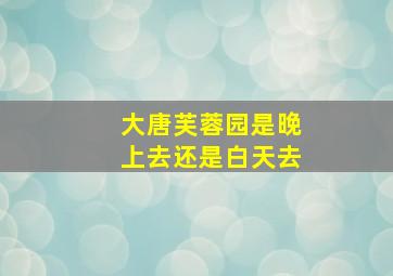 大唐芙蓉园是晚上去还是白天去