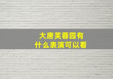 大唐芙蓉园有什么表演可以看