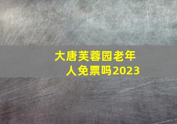 大唐芙蓉园老年人免票吗2023