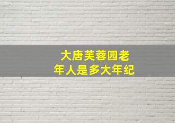 大唐芙蓉园老年人是多大年纪