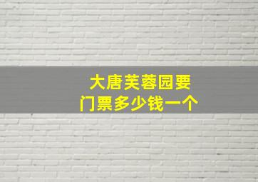 大唐芙蓉园要门票多少钱一个