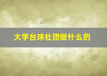 大学台球社团做什么的