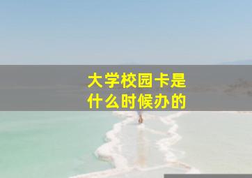 大学校园卡是什么时候办的