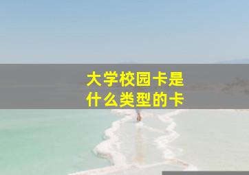 大学校园卡是什么类型的卡