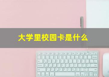 大学里校园卡是什么