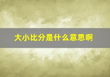 大小比分是什么意思啊