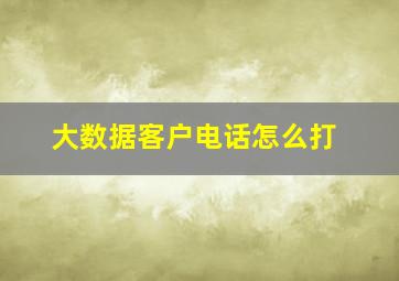 大数据客户电话怎么打