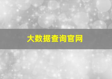 大数据查询官网