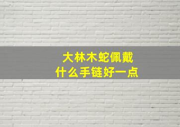 大林木蛇佩戴什么手链好一点