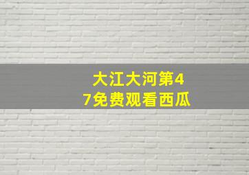 大江大河第47免费观看西瓜