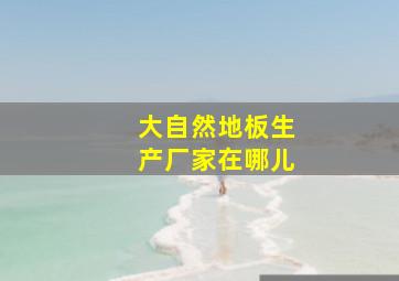 大自然地板生产厂家在哪儿