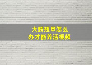 大鳄翘甲怎么办才能养活视频