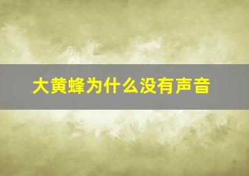 大黄蜂为什么没有声音