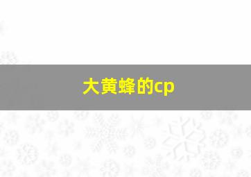 大黄蜂的cp