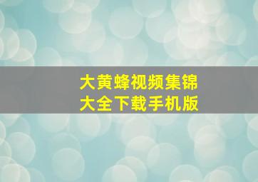 大黄蜂视频集锦大全下载手机版