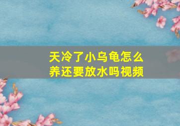 天冷了小乌龟怎么养还要放水吗视频