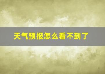 天气预报怎么看不到了