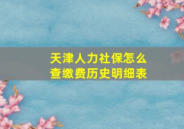 天津人力社保怎么查缴费历史明细表