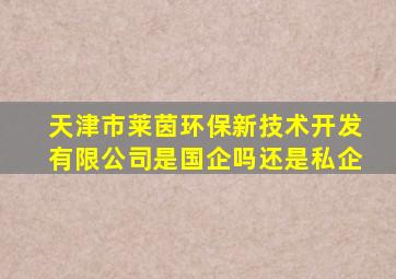 天津市莱茵环保新技术开发有限公司是国企吗还是私企