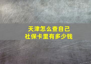 天津怎么查自己社保卡里有多少钱