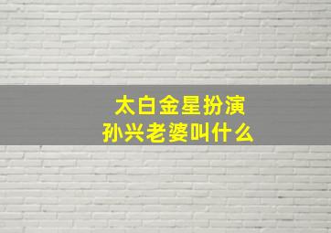 太白金星扮演孙兴老婆叫什么