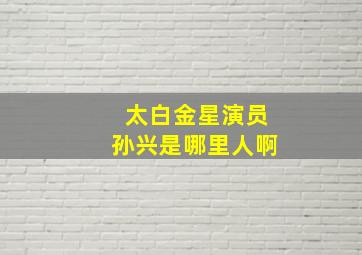 太白金星演员孙兴是哪里人啊