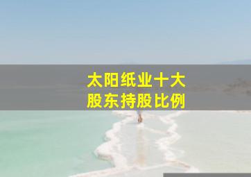 太阳纸业十大股东持股比例