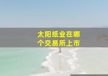 太阳纸业在哪个交易所上市