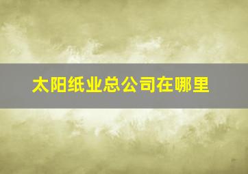 太阳纸业总公司在哪里