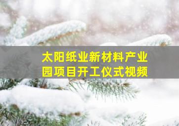 太阳纸业新材料产业园项目开工仪式视频