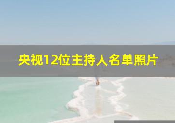 央视12位主持人名单照片