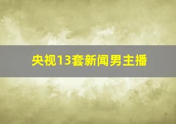 央视13套新闻男主播