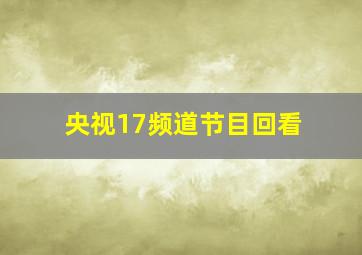 央视17频道节目回看