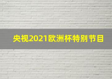 央视2021欧洲杯特别节目