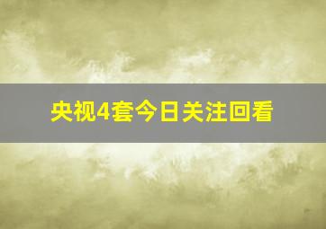 央视4套今日关注回看