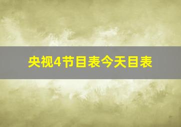 央视4节目表今天目表