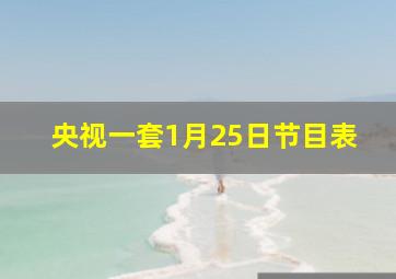 央视一套1月25日节目表