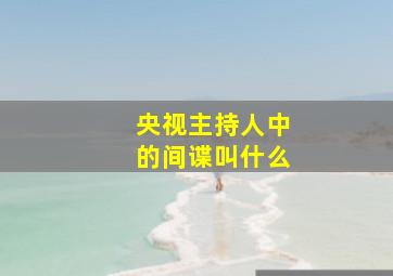 央视主持人中的间谍叫什么