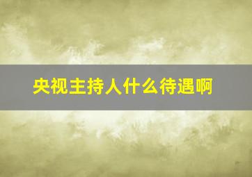 央视主持人什么待遇啊