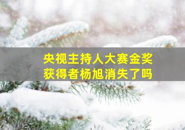 央视主持人大赛金奖获得者杨旭消失了吗